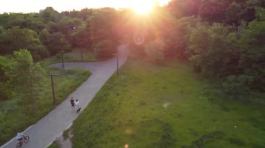 Aerial flying above recreation park lanes at sunset, green summer Kharkiv city park Sarzhyn Yar. Botanical garden in residential area in sunlight