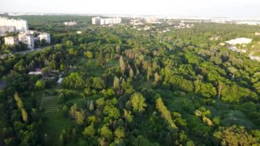 Vivid trees greenery in city park aerial view from descending drone. Flying forward above green summer sunny nature