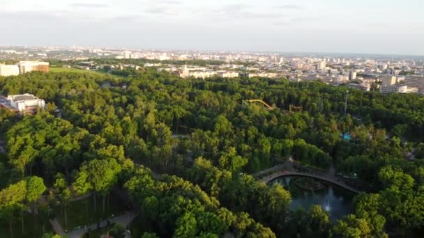 Aerial Fpv Drone Backwards Flying View Attractions Recreation Area Greenery — 图库视频影像
