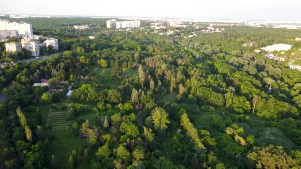 Vivid Trees Greenery City Park Aerial View Descending Drone Flying — Video