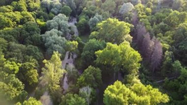 Aerial evening look down view on water spring in green summer Kharkiv city center recreation park Sarzhyn Yar, Botanical garden