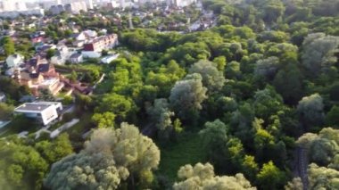 Vivid trees greenery in city park aerial view from fpv drone. Look down green summer sunny natural patterns