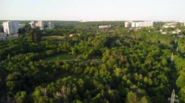 Green vivid trees greenery in city park aerial tilt down view from drone. Look down on green summer sunny nature