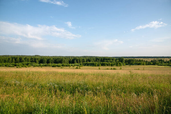 Равнина, лес, поле, небо с облаками