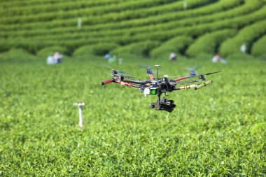 RC helikopter üzerinde çay plantasyon uçar