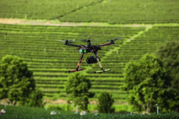 RC helikopter üzerinde çay plantasyon uçar