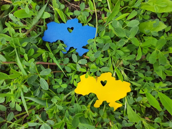 Yeşil çimenler üzerinde sarı mavi Ukrayna haritası