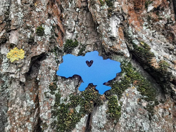 Ağaç kabuğunda mavi Ukrayna haritası