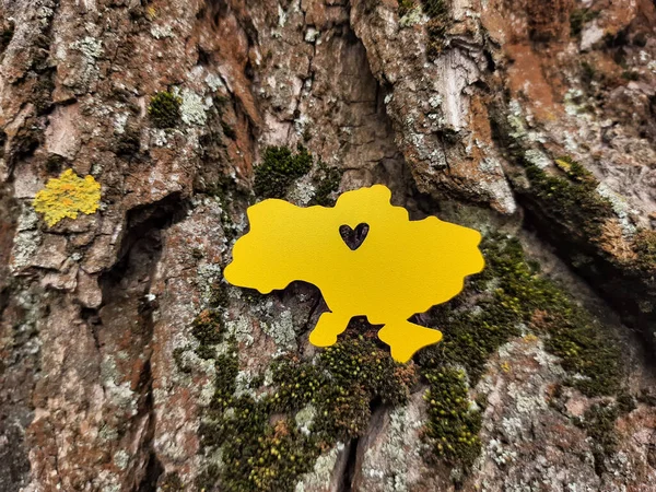 Ağaç kabuğunda sarı Ukrayna haritası