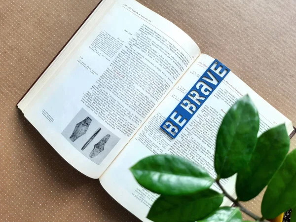  Mavi yer imi kitapta cesur ol