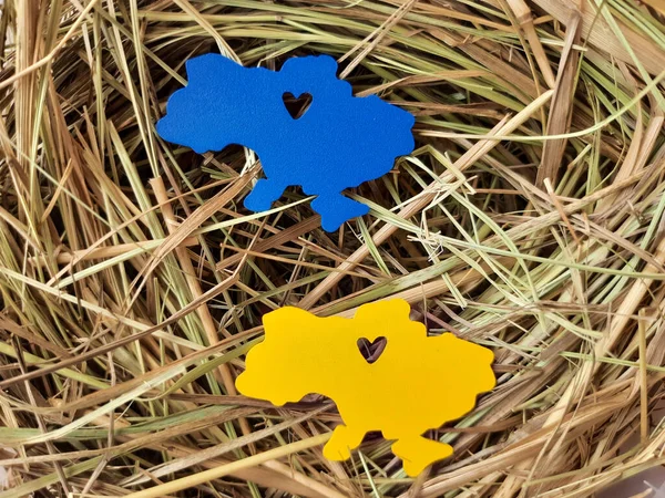 Kuru çimenlerde sarı mavi Ukrayna haritası