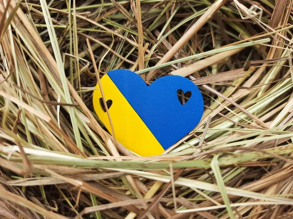 Ulusal Ukrayna rengi samanlıkta sarı mavi kalp