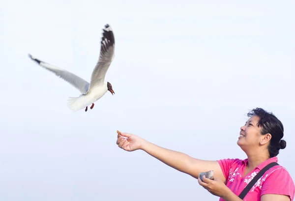 Flying seagull taking food from hand woman — Stock Photo, Image