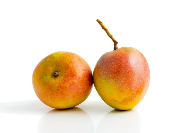 Mango fruit isolated on white background — Stock Photo, Image