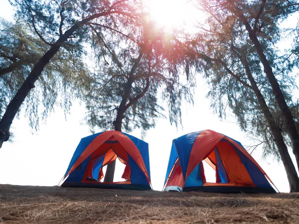 Tiendas Paisaje Selva Con Luz Orilla Del Mar Vacaciones Concepto —  Fotos de Stock