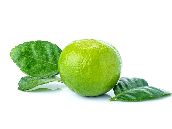 Vers Groen Citroenfruit Met Zijn Groene Bladeren Geïsoleerd Witte Achtergrond — Stockfoto