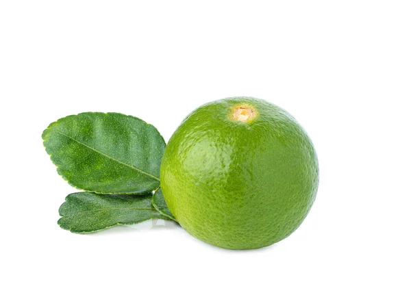 新鮮な緑のレモンとその葉は白い背景に隔離され — ストック写真