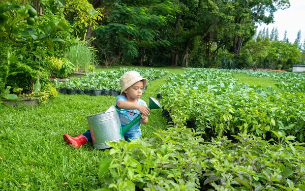 農家のドレスを着たアジア系の子供が屋外の農場で緑の芽を育てる子供の活動食料源を学ぶ — ストック写真