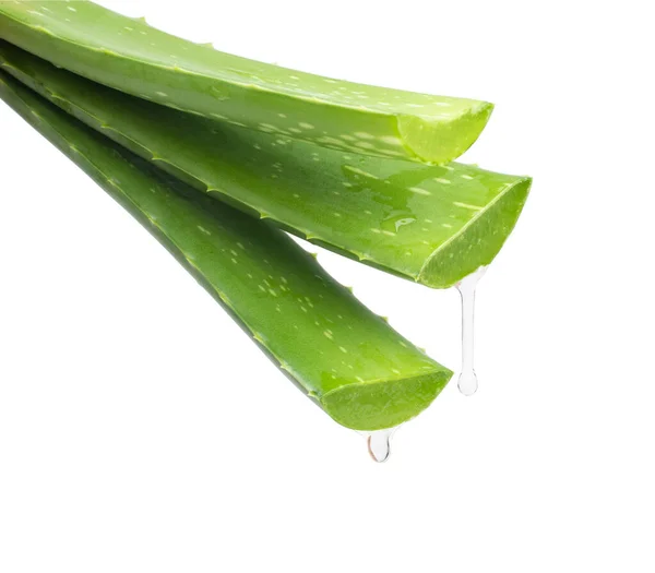 Frische Grüne Aloe Vera Mit Innerem Gel Scheiben Geschnitten Auf — Stockfoto