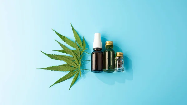 近距离拍摄新鲜绿色大麻或大麻植物 用于药草和科学实验 — 图库照片