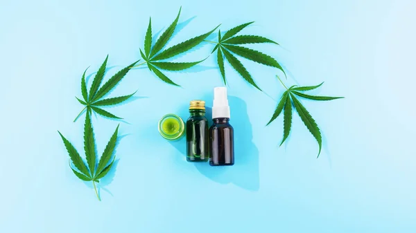近距离拍摄新鲜绿色大麻或大麻植物 用于药草和科学实验 — 图库照片