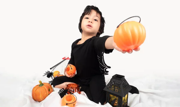 Child Halloween Dress Celebrating Halloween Event Pumpkin Spider Other Having — Stock Photo, Image