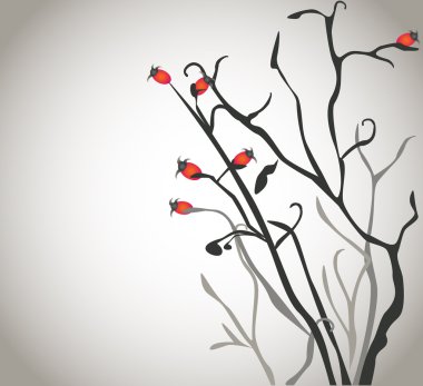 izole brier bush ile boş bir arka plan üzerinde kırmızı meyveler