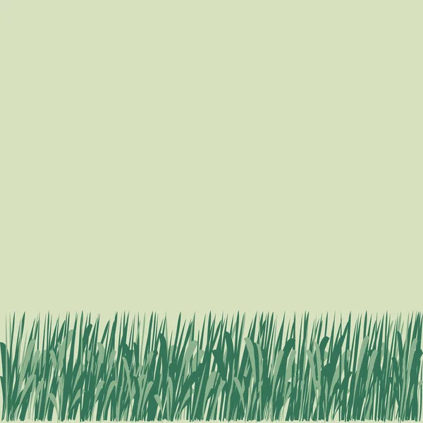 简单无缝的边境绿草 白色背景隔离 植物涂鸦 素描自然图案轮廓草坪框架 矢量说明 — 图库矢量图片