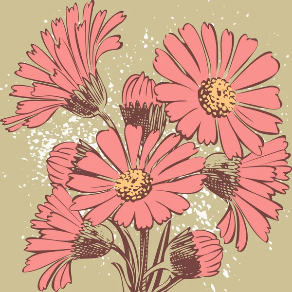 Çekici Bir Şekilde Düzenlenmiş Çiçek Demeti Kasımpatı Çiçekleri Çizilmiş Sanatsal — Stok Vektör