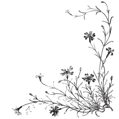 Doğrusal kır çiçekleri ve sapları, kabartma çizimi beyaz arka planda izole edilmiş. Vektör illüstrasyonu, tebrik kartları, logo, markalaşma tasarımı, posterler, baskı, düğün davetiyesi, doğum günü, kartpostal, dekor