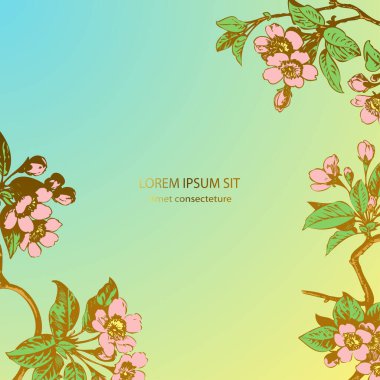 El çizimi sakura çiçekleri ve dallarda yapraklar. Botanik düğün davetiyesi şablonu tasarımı. Açık mavi altın zemin üzerinde eski bir kiraz ağacı. Retro tarzı. Vektör illüstrasyonu