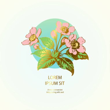 Drawing sakura flowers leaves on branches circle frame celebration label. Botanical wedding invitation card template design. Vintage blossom cherry on blue gold white background. Vector illustration