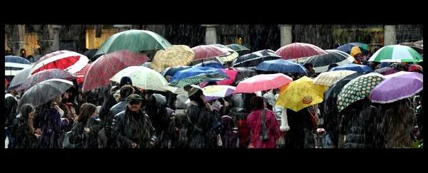 Дождь и зонтики — стоковое фото