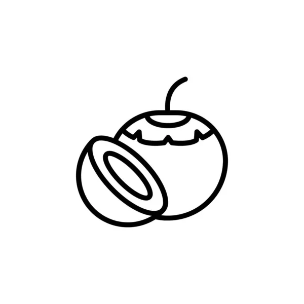 Εικονίδιο Διανύσματος Καρύδας Φρούτα Εικονίδιο Περίγραμμα Στυλ Τέλεια Χρήση Για — Διανυσματικό Αρχείο