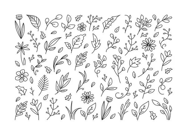 葉の花の落書きセット 植物の葉の要素 手描きの葉と花のアイコンコレクション — ストックベクタ