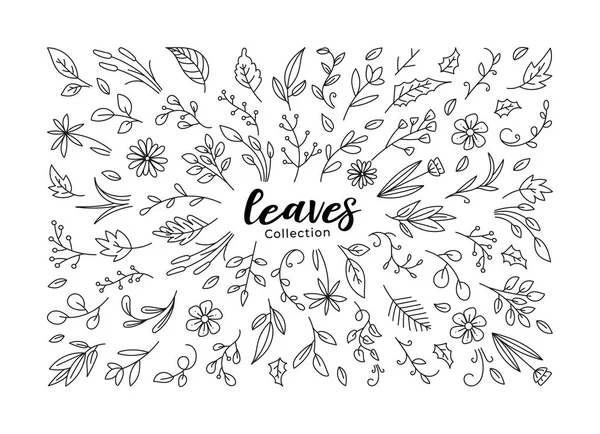 Leaves Floral Doodle Set Botanical Leaf Element Hand Drawn Leaf — Vettoriale Stock