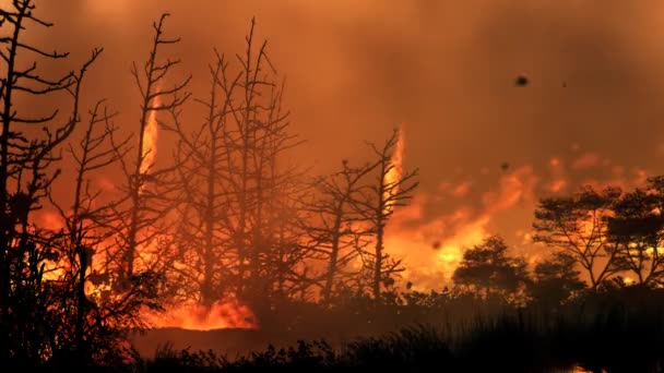 Bosque en el fuego. Bucle . — Vídeos de Stock