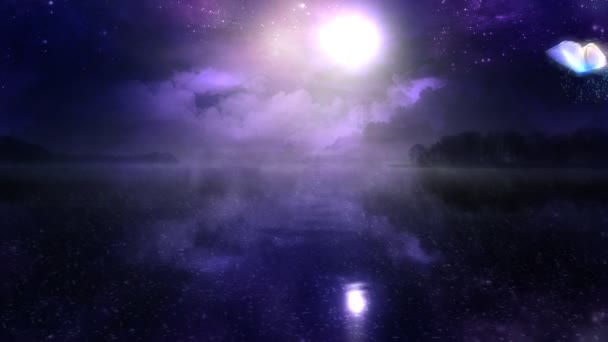 Nuit magique avec boucle papillon 