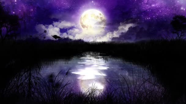 Magická noc nad rybník smyčky. noční motýli, vznášející se nad stříbrný rybník. velký měsíc zpoza mraků a vody odráží celou oblohu. blikání hvězd na obloze.
