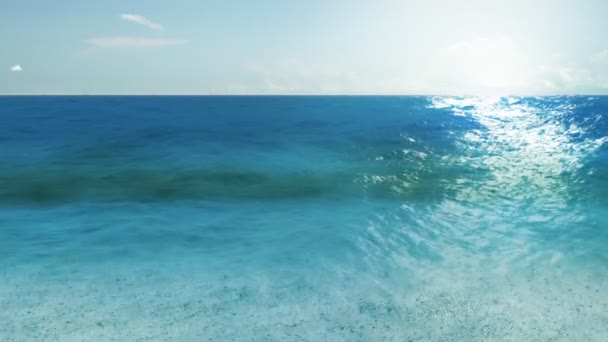 The shore of paradise ocean — Stock Video