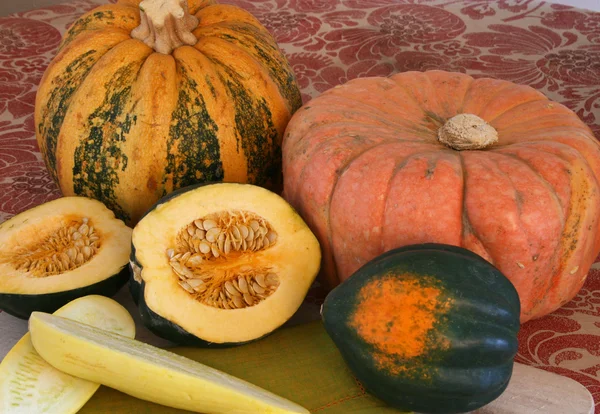 Pumpkins and Squash — Stock Photo, Image