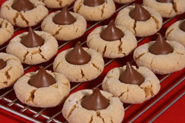 Fıstıklı çiçek kurabiye