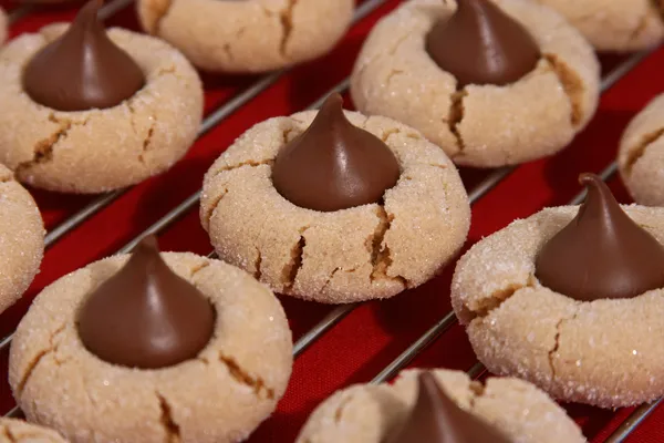 Erdnussbutter Blütenplätzchen — Stockfoto