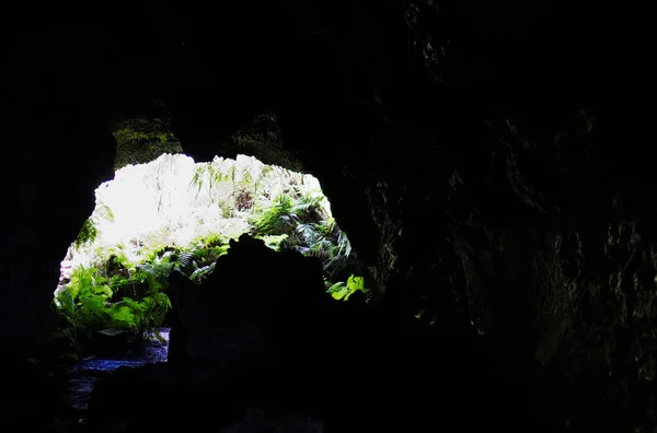El túnel de Lava Furna De Frei Matias, isla de Pico, Azores —  Fotos de Stock