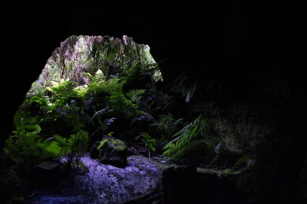 Тоннель Лава Фурна де Фрей Матиас, остров Пико, Азорские острова — стоковое фото