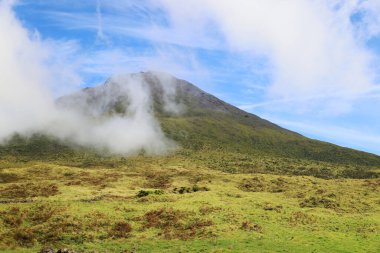 Pico volkanı, Pico Adası, Azores