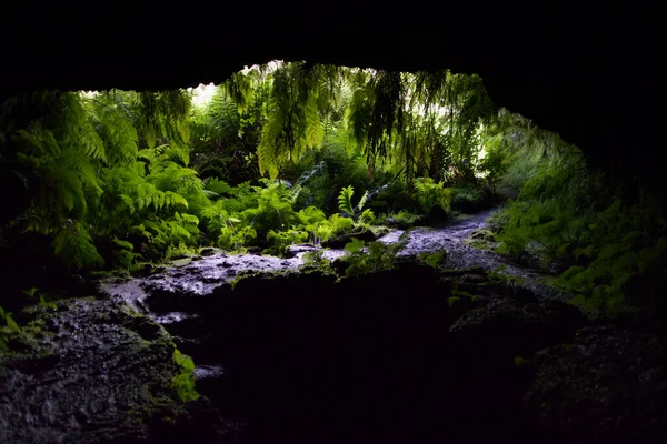 O túnel da Lava Furna De Frei Matias, ilha do Pico, Açores — Fotografia de Stock