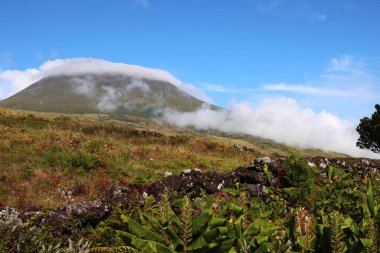 Pico adasının tipik manzarası. Arka planda Pico dağı var, Azores.