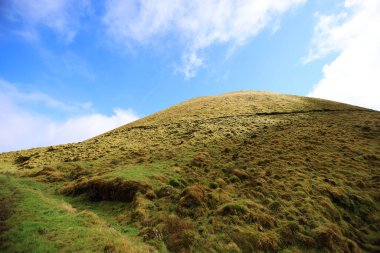 Pico, Azores adasının karakteristik manzarası