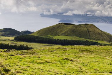 Pico, Azores adasının karakteristik manzarası
